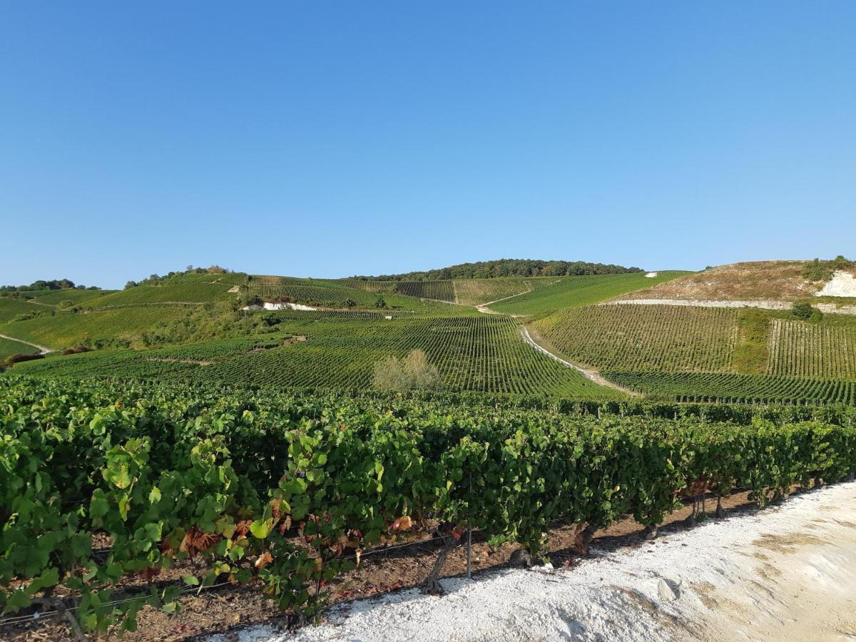 La Cour Des Marotiers Bed & Breakfast Mareuil-sur-Ay Dış mekan fotoğraf
