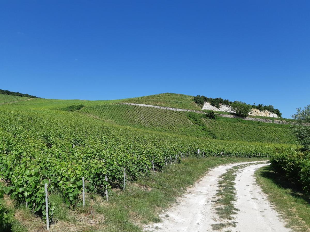 La Cour Des Marotiers Bed & Breakfast Mareuil-sur-Ay Dış mekan fotoğraf